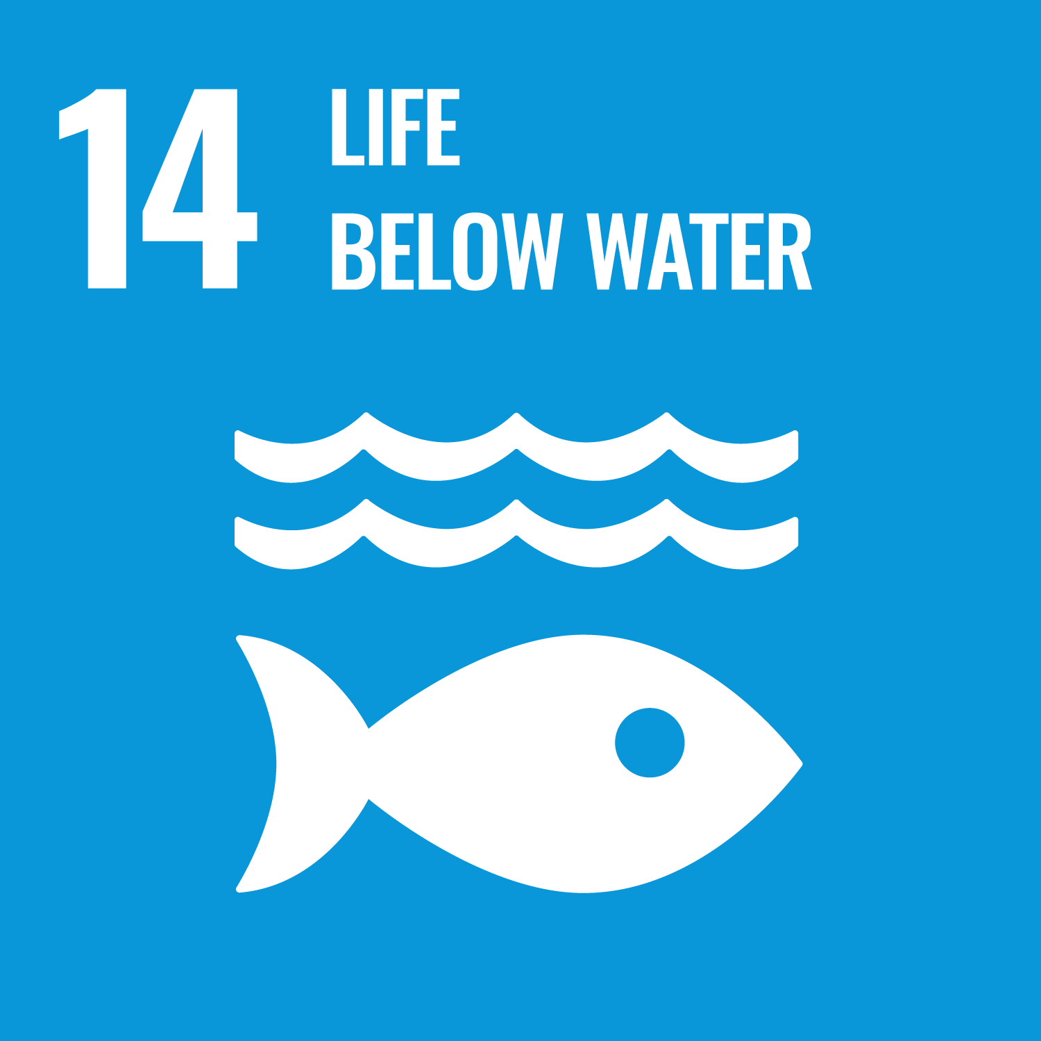 Life below water (SDG-14)