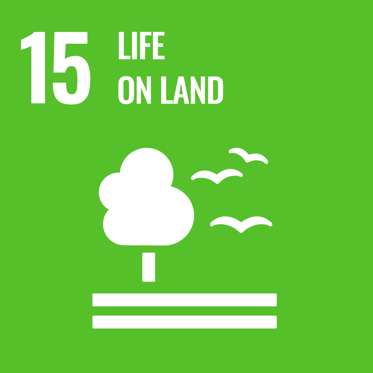 Life on land (SDG-15)